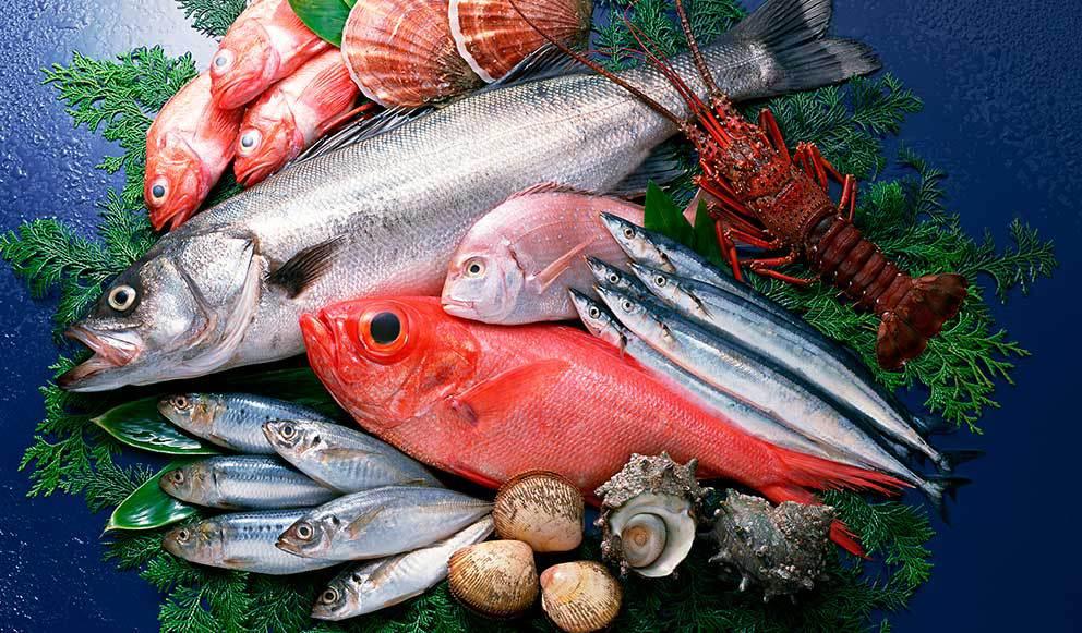 comidas para el cerebro