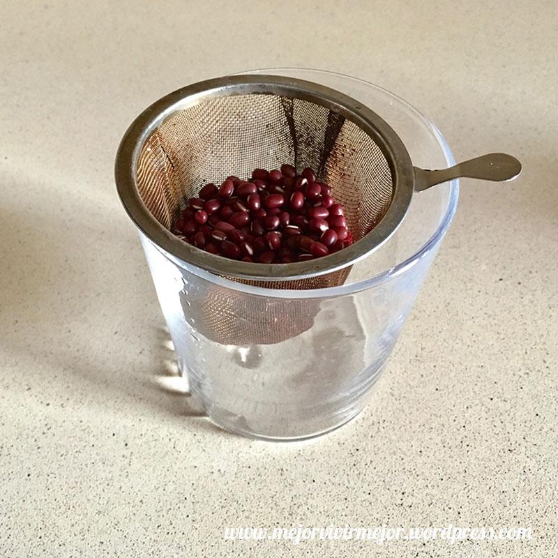 Cómo preparar germinados en casa
