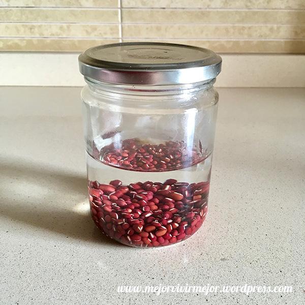 Cómo preparar germinados en casa