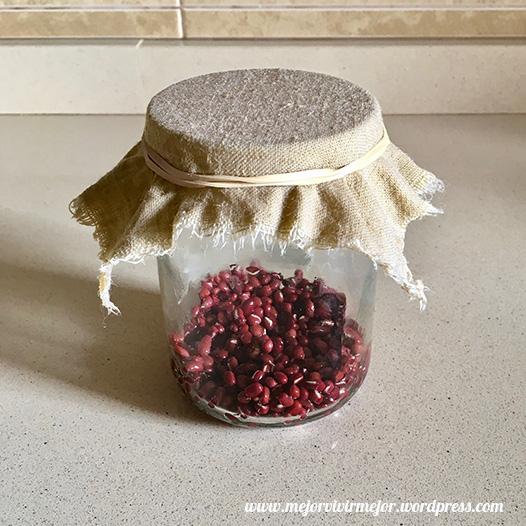 Cómo preparar germinados en casa