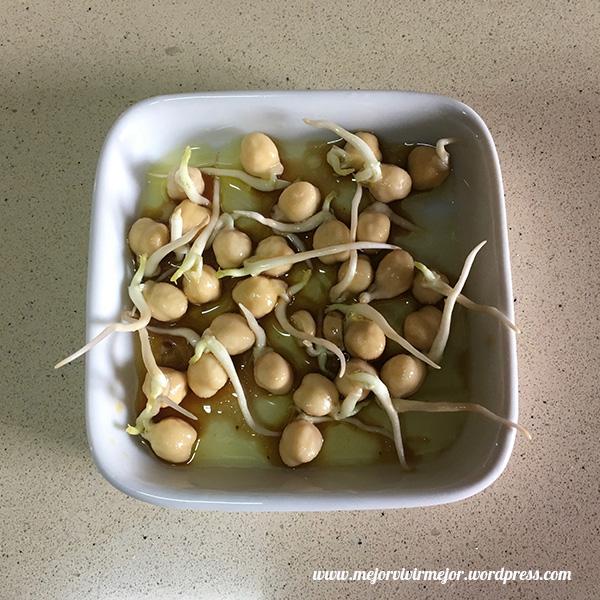 Cómo preparar germinados en casa