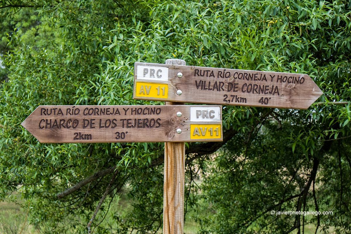 Vegetación de ribera y señalización en el recorrido del sendero PRC-AV11. Río Corneja y Hocino. Valle del Corneja. Ávila. Castilla y León. España. © Javier Prieto Gallego