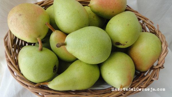 Peras recolectadas