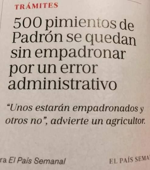 Sindrome tumblr 21 de agosto 010