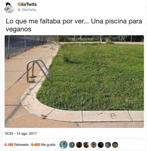 Sindrome tumblr 21 de agosto 08