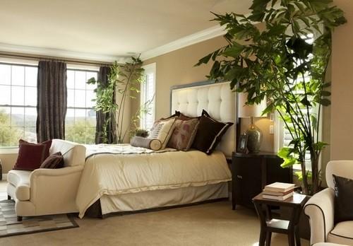 plantas en aposento de dormir