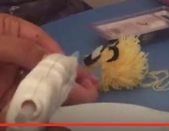 Captura de pantalla 2017-08-23 a las 17.11.06