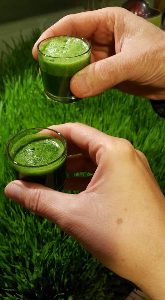 Green shot zumo de hierba de trigo