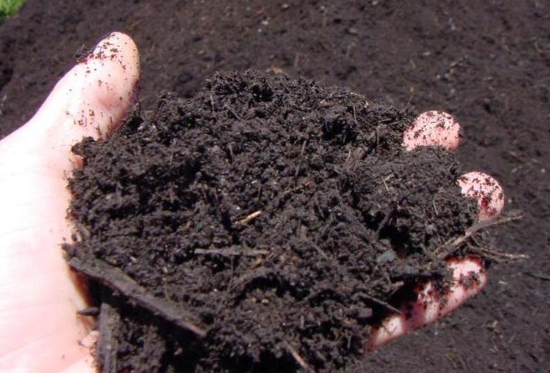 utilizar el compost