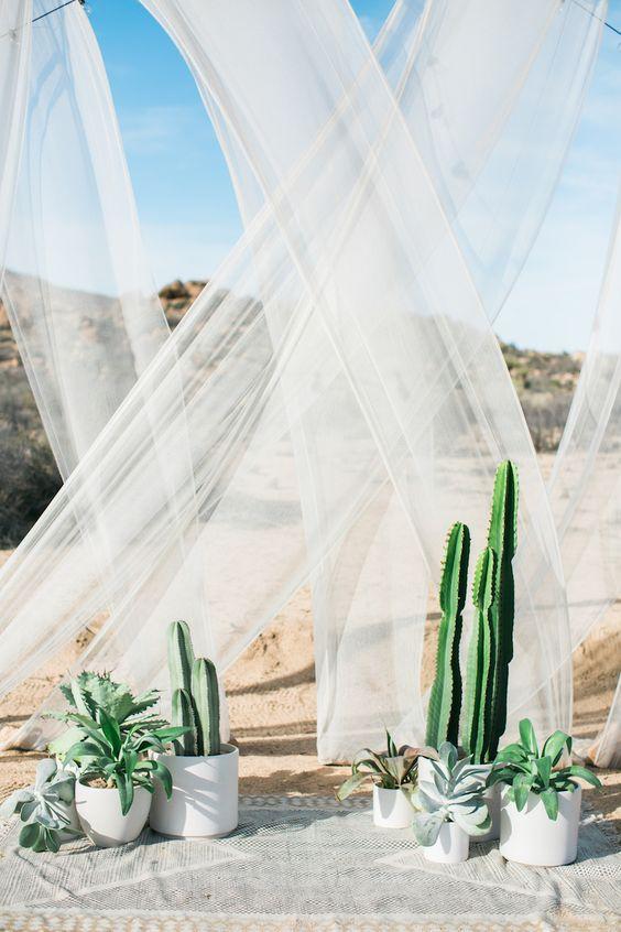 cactus decoracion boda