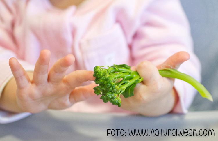 puede mi bebe comer si no tiene dientes
