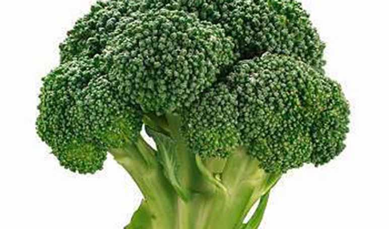 Vitaminas para la caída del cabello