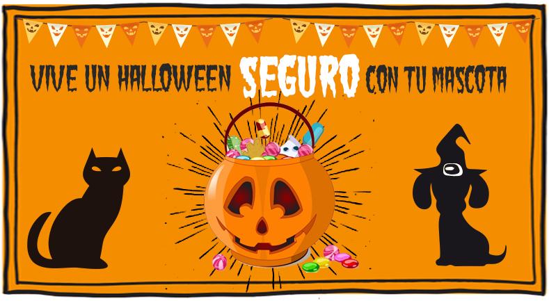5 Tips para disfrutar con tu mascota en Halloween | Best for Pets