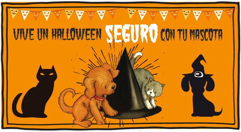 5 Tips para disfrutar con tu mascota en Halloween | Best for Pets
