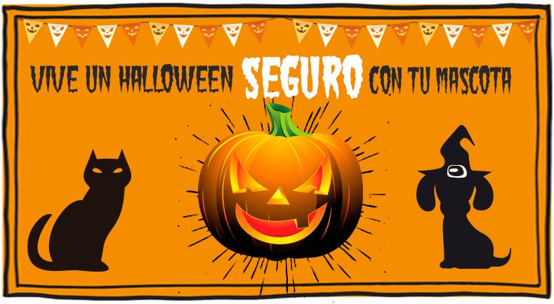 5 Tips para disfrutar con tu mascota en Halloween | Best for Pets