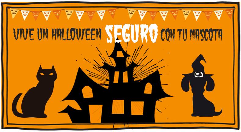 5 Tips para disfrutar con tu mascota en Halloween | Best for Pets