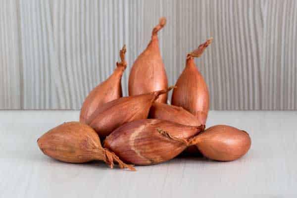 cebolla-chalota