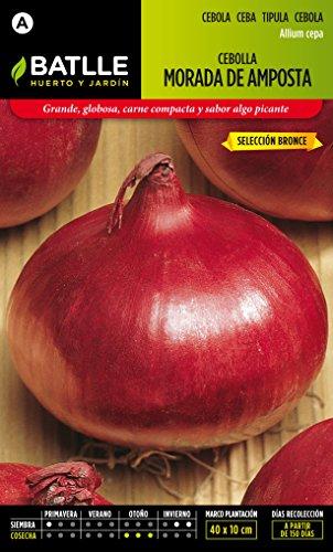 Semillas Batlle - Cebolla Morada De Amposta Sel. Bronce