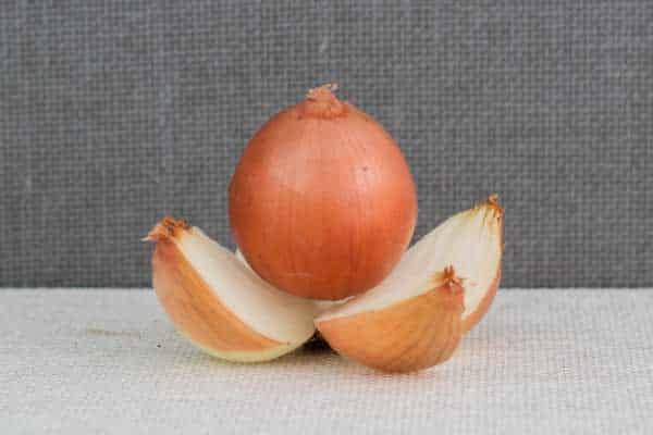 cebolla-liria-cortada