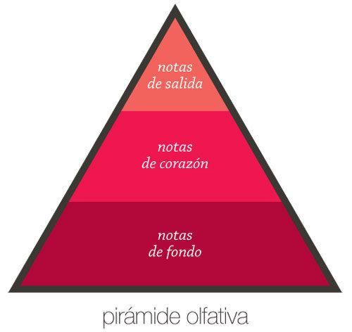 Piramide olfativa