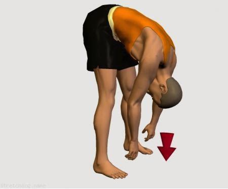 Resultado de imagen para ejercicio punta de pies