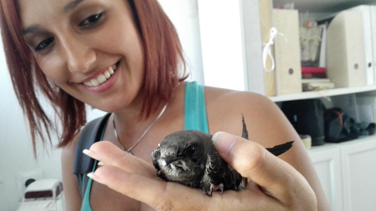 Espe y Victor, Boda, vídeo, qmirar, silvia Oliveros, videografos, Málaga