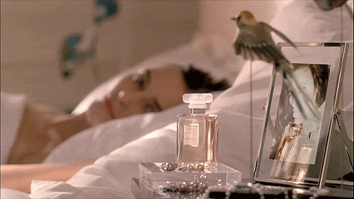 Los 20 Perfumes Más Duraderos Para Mujeres