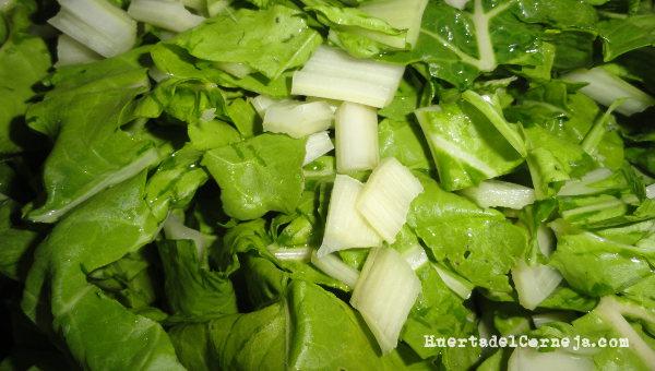 Acelgas lavadas