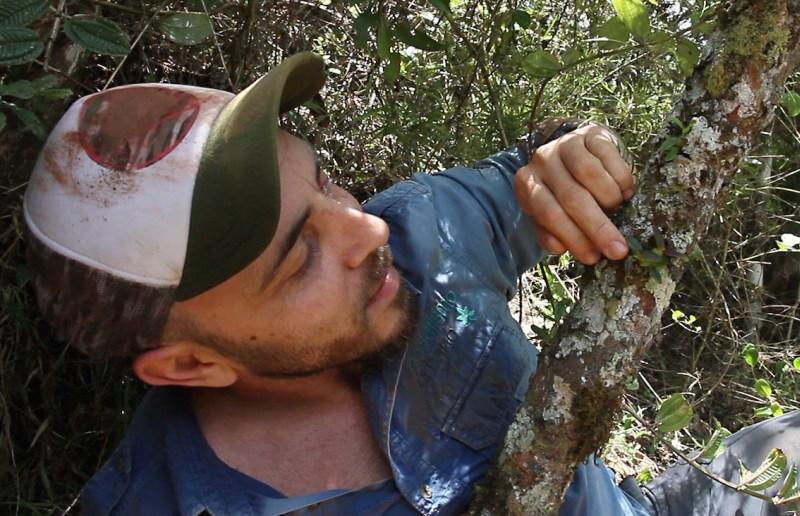 MadagascarBulbophyllumInsolitum1