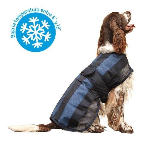 accesorios para perros