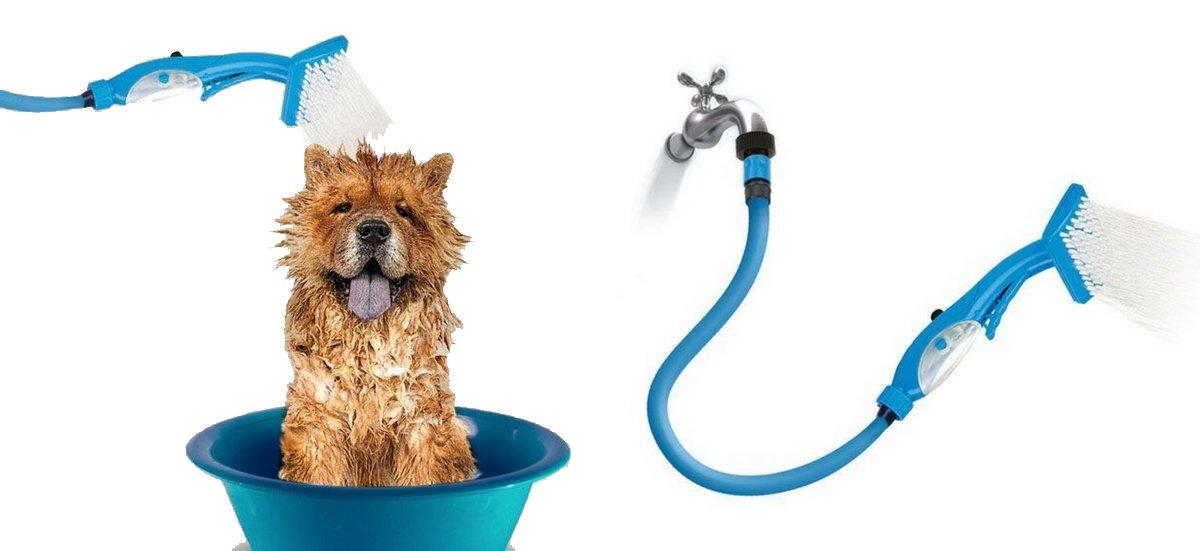 accesorios para perros