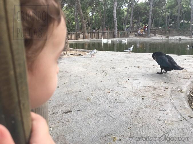 El verano llegó a su fin