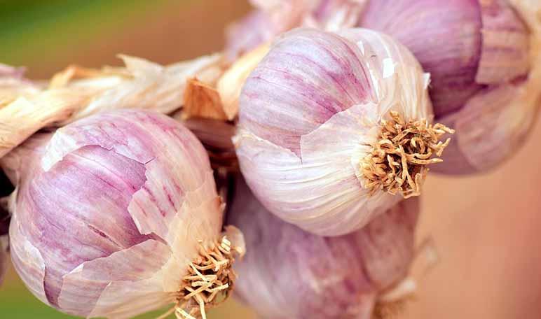 Remedios caseros para el dolor de espalda