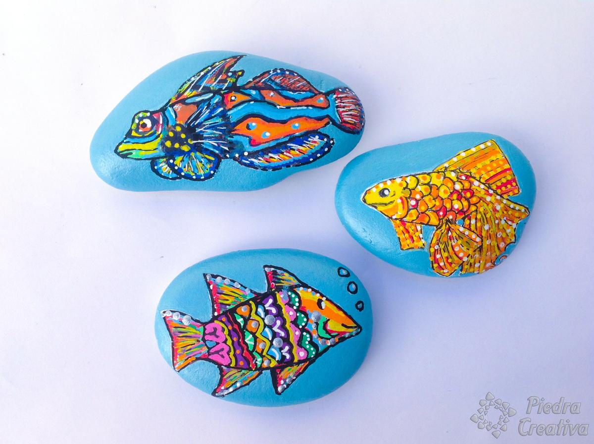 Peces de colores en piedras