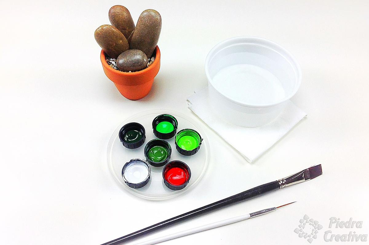 Materiales para maceta de cactus