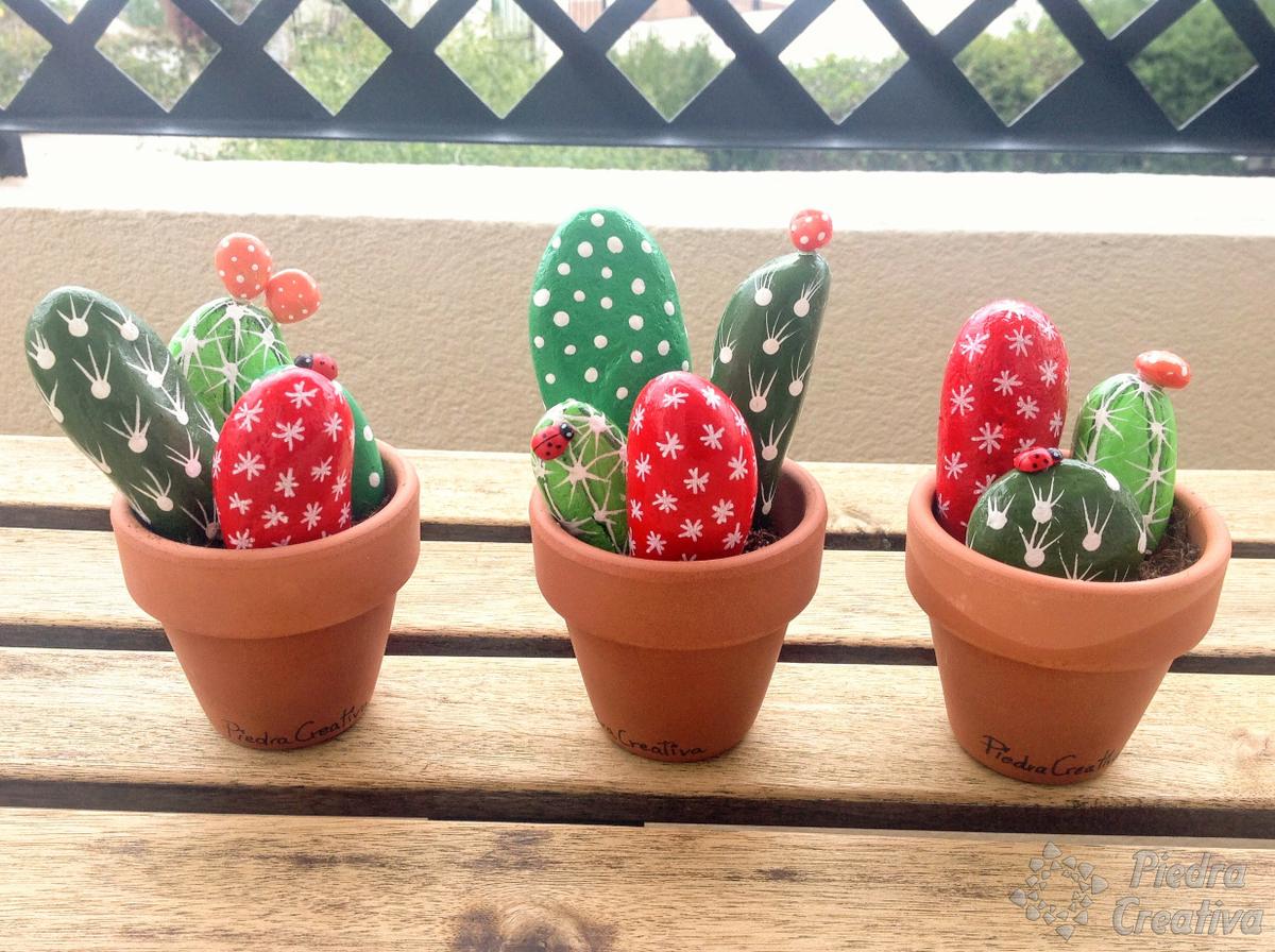 Cactus con piedras de colores