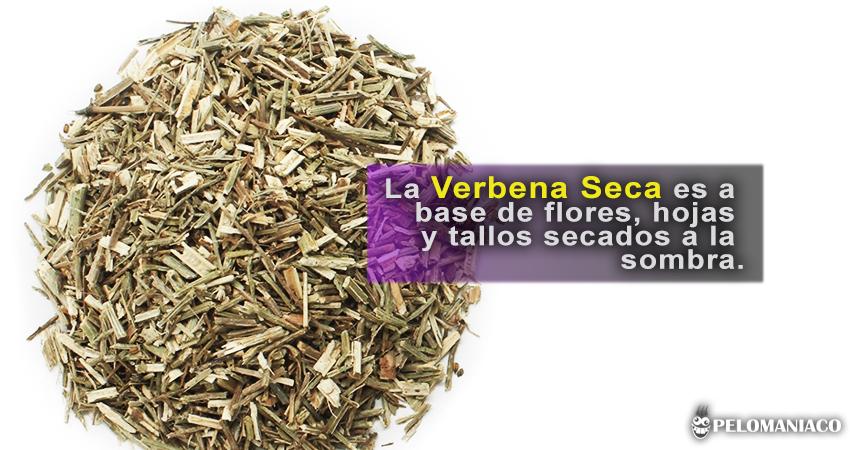 Verbena seca para el cabello como preparar