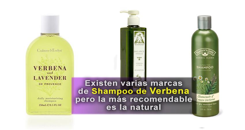 Shampoo de Verbena como prepararlo