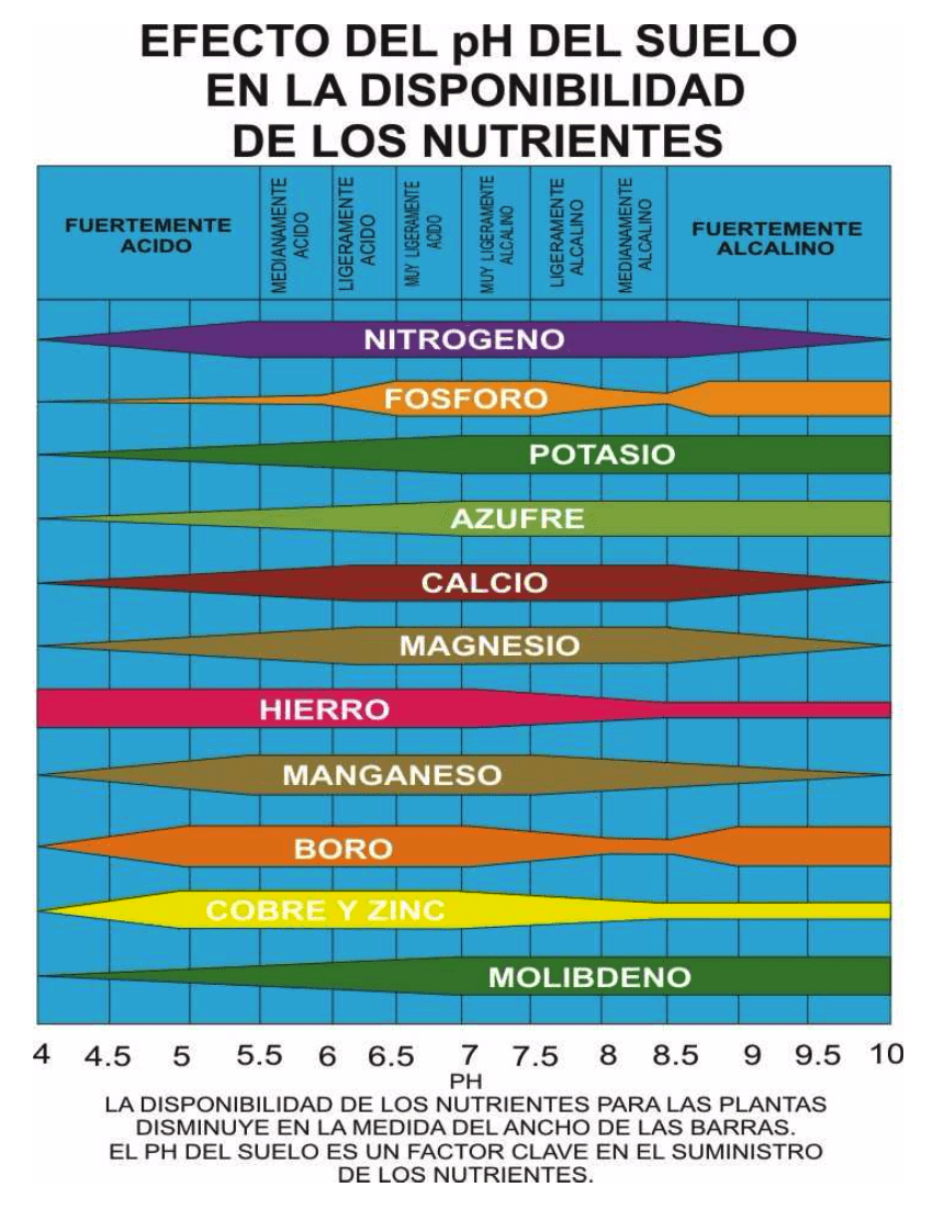 Carencias plantas según Ph