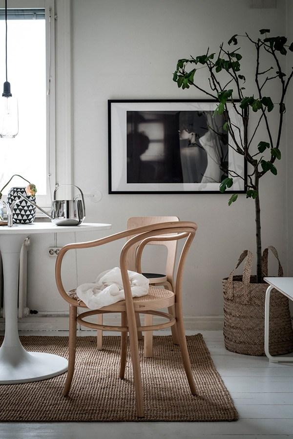 MINI APARTAMENTO SOFT