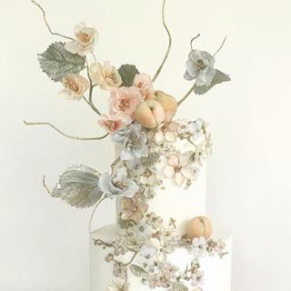 Instagram Photo