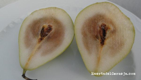 Pardeamiento del corazón.