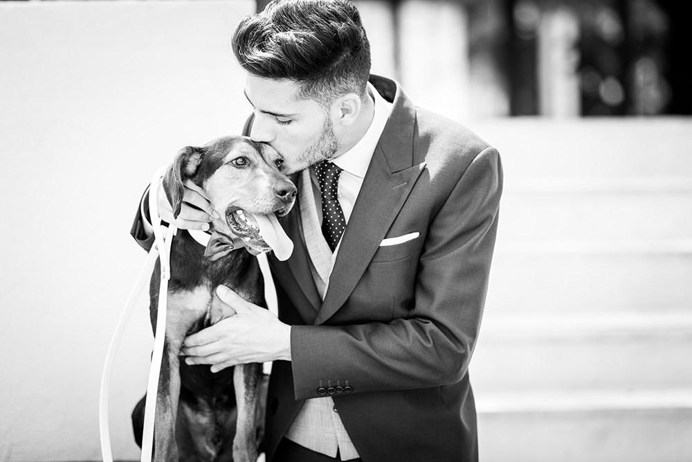 Perros en Bodas