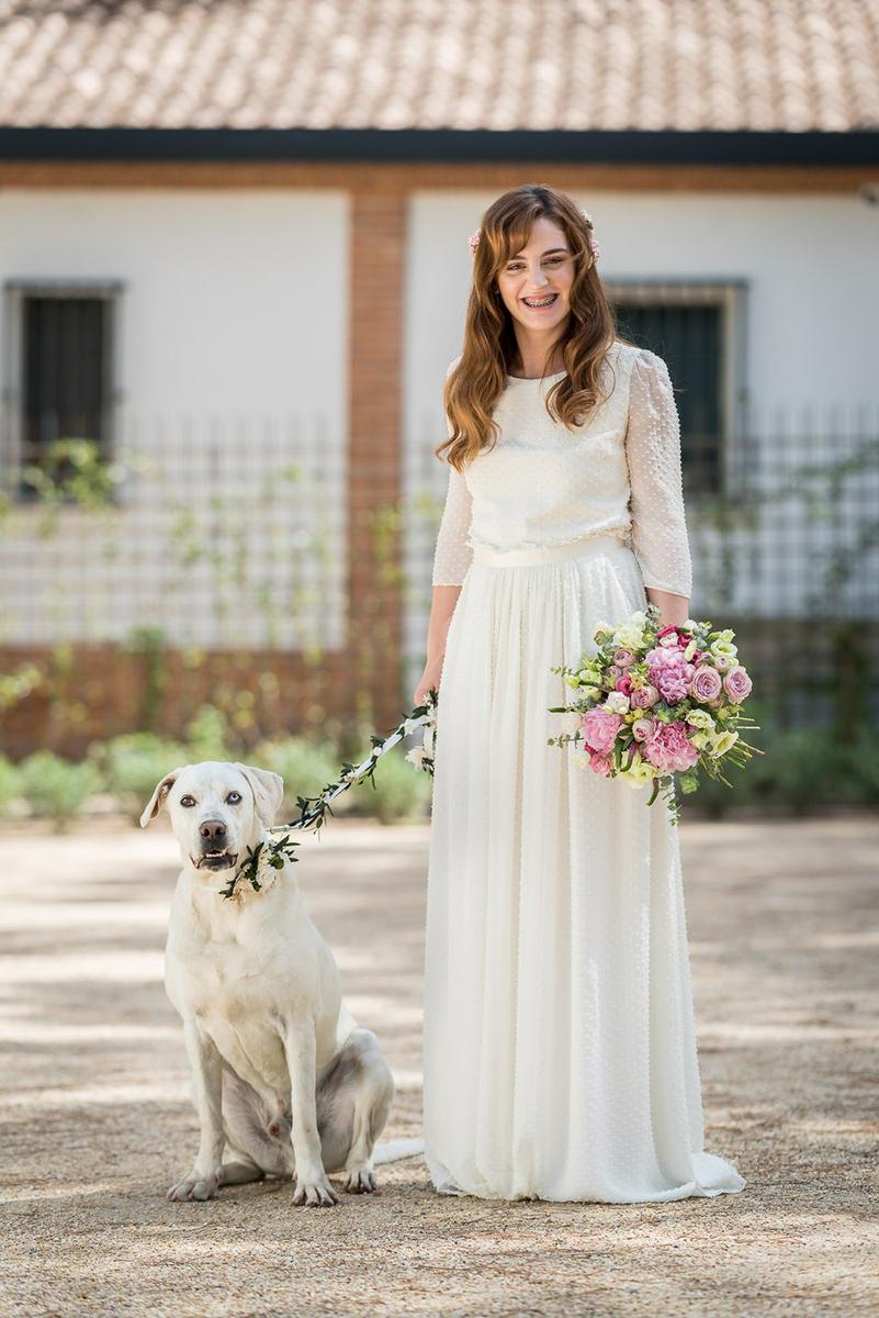 mascotas en bodas