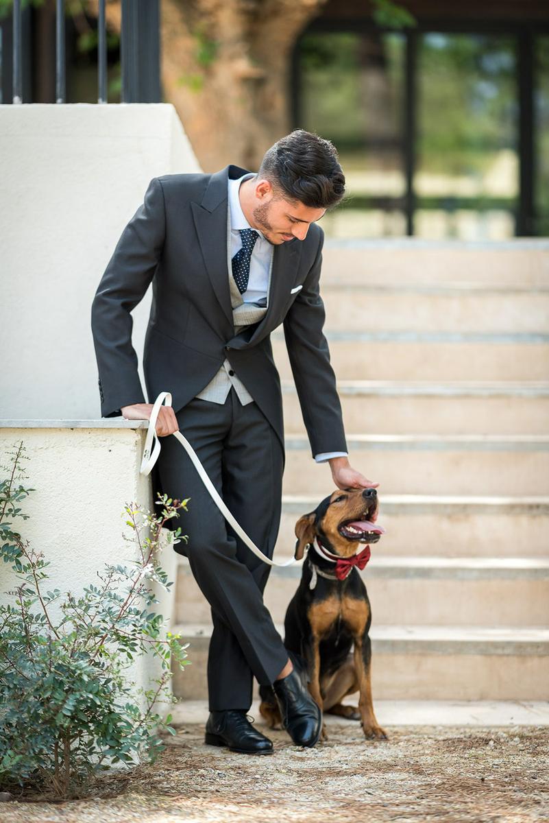 mascotas en bodas