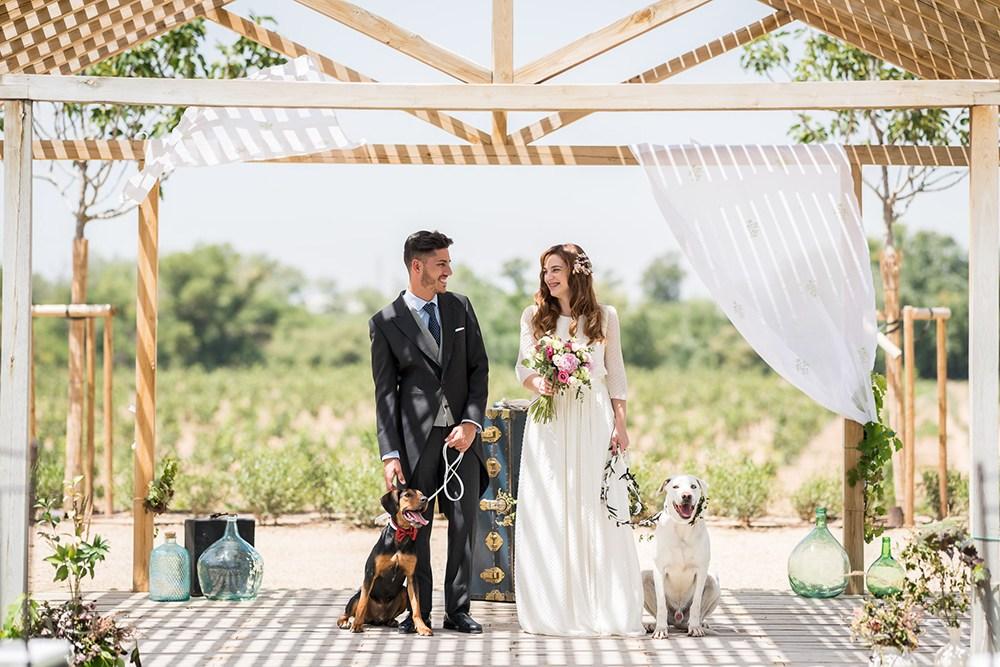 mascotas en bodas