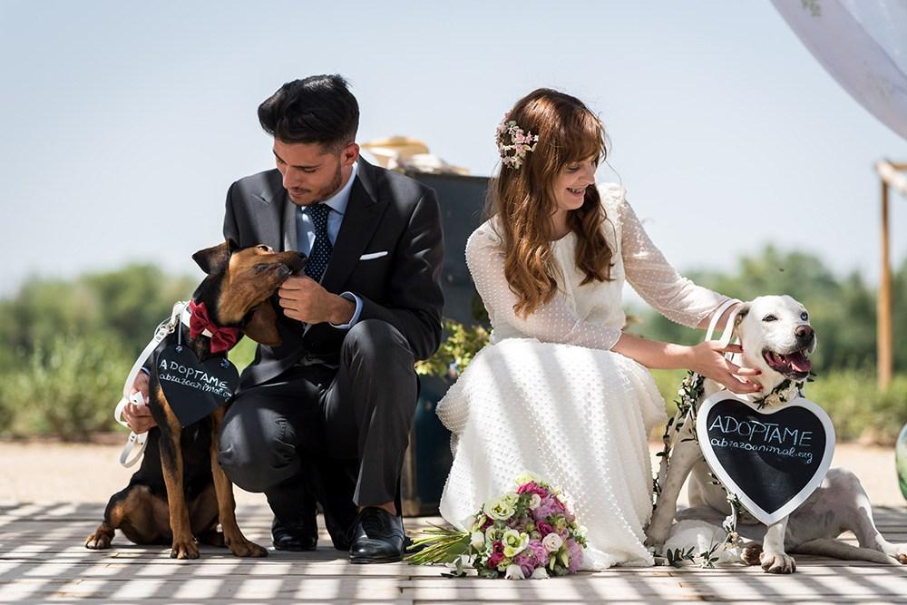 mascotas en bodas