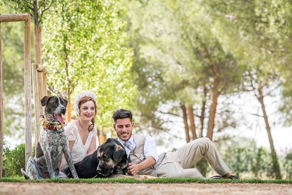 mascotas en bodas