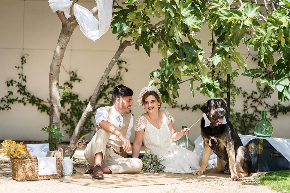mascotas en bodas
