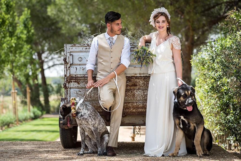 mascotas en bodas